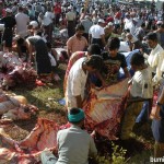 Ratusan lembu dikorban di lokasi ini sempena Eidul Adha di Yangon
